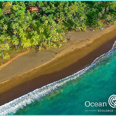 Ocean Forest Ecolodge San Pedrillo エクステリア 写真
