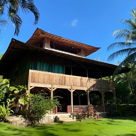 Ocean Forest Ecolodge San Pedrillo エクステリア 写真