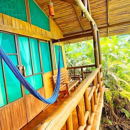 Ocean Forest Ecolodge San Pedrillo エクステリア 写真