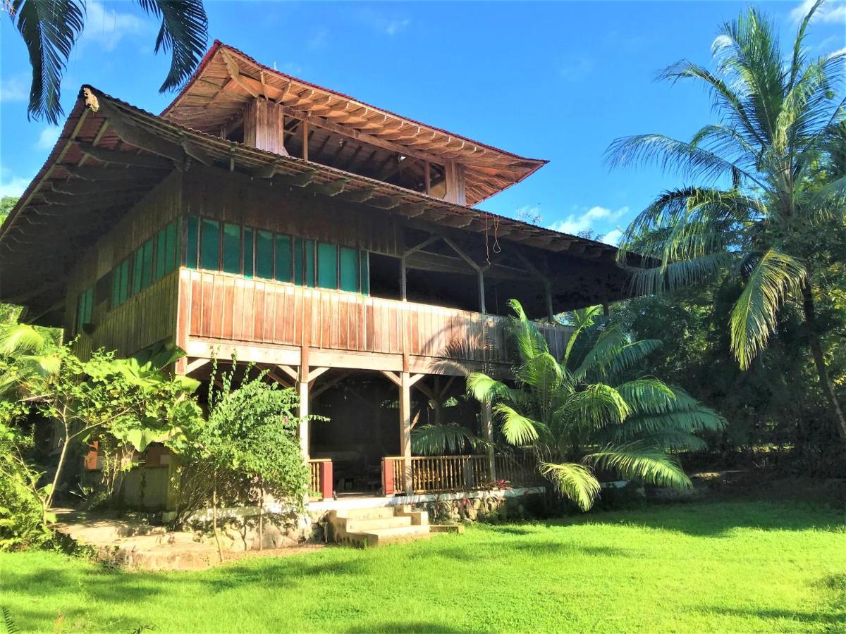 Ocean Forest Ecolodge San Pedrillo エクステリア 写真
