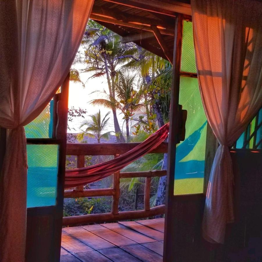 Ocean Forest Ecolodge San Pedrillo エクステリア 写真