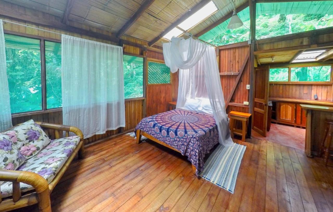 Ocean Forest Ecolodge San Pedrillo エクステリア 写真
