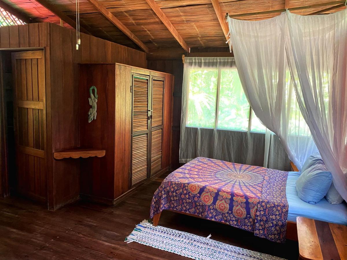 Ocean Forest Ecolodge San Pedrillo エクステリア 写真