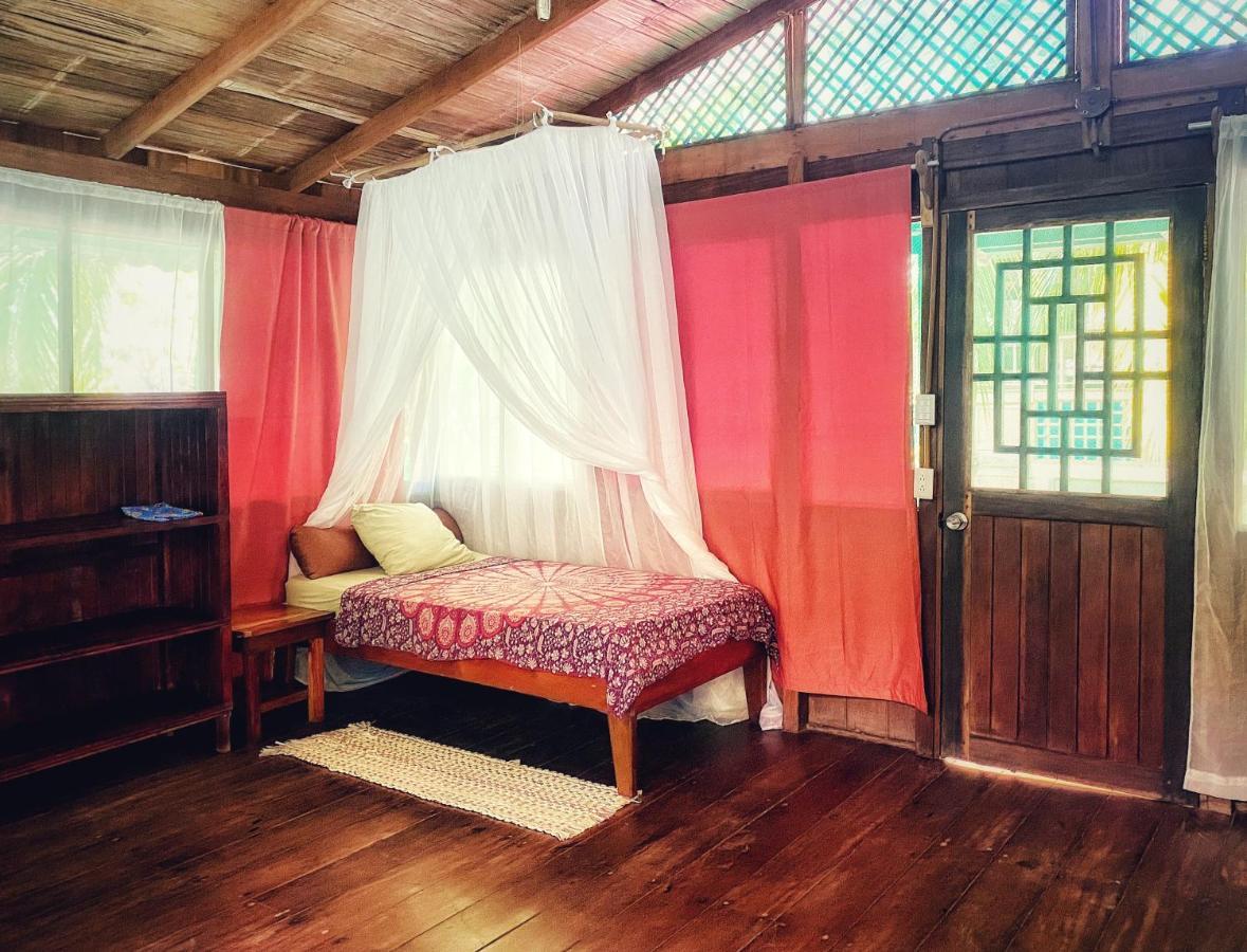 Ocean Forest Ecolodge San Pedrillo エクステリア 写真