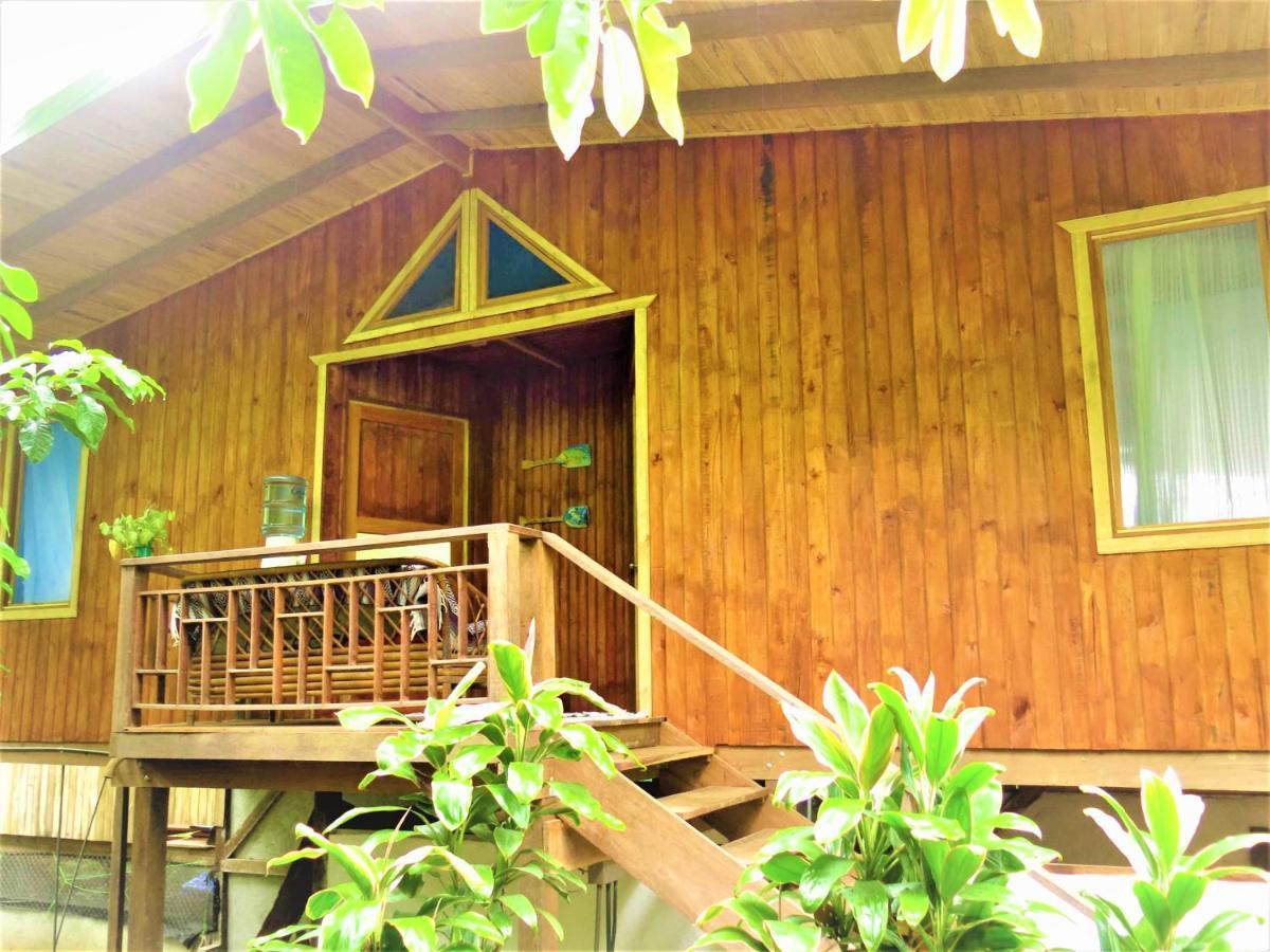 Ocean Forest Ecolodge San Pedrillo エクステリア 写真