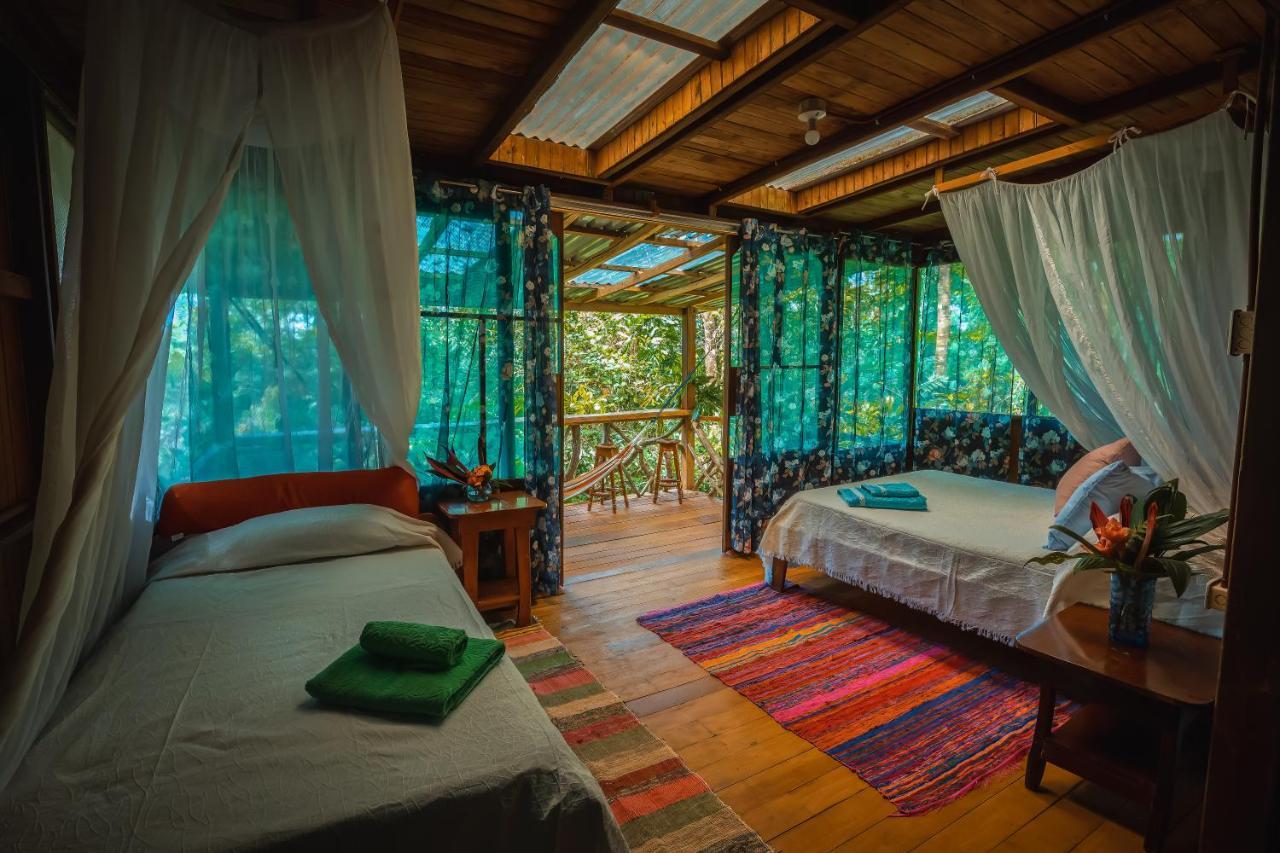 Ocean Forest Ecolodge San Pedrillo エクステリア 写真