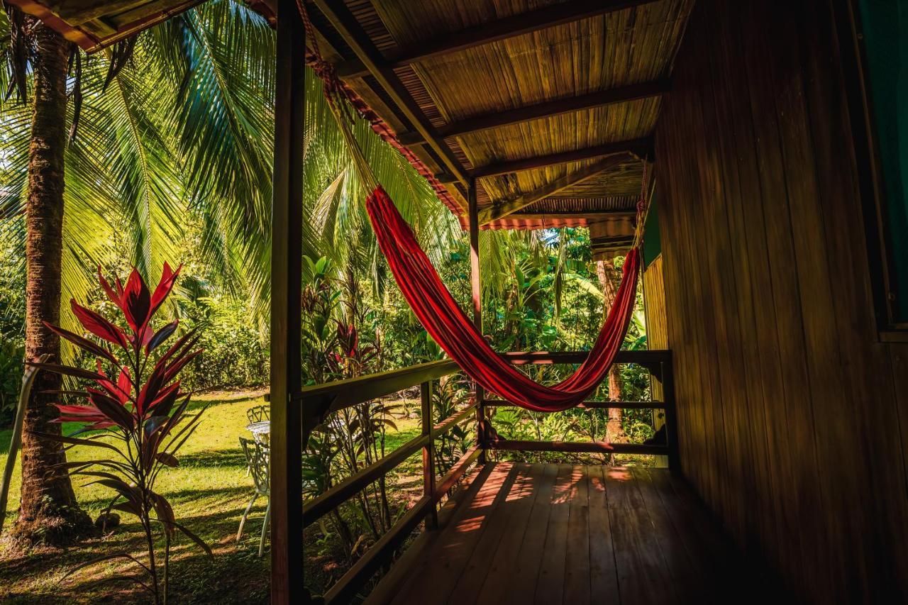 Ocean Forest Ecolodge San Pedrillo エクステリア 写真