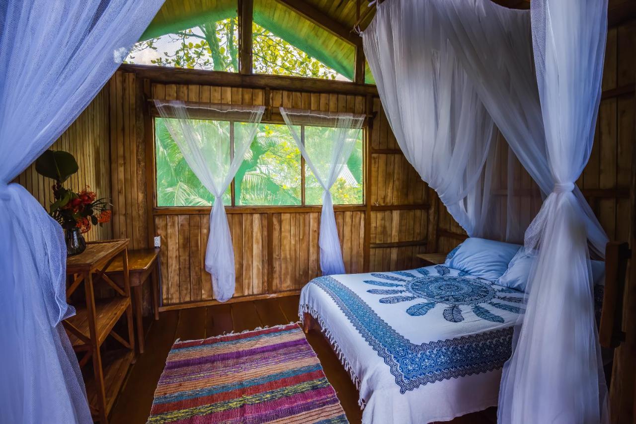 Ocean Forest Ecolodge San Pedrillo エクステリア 写真