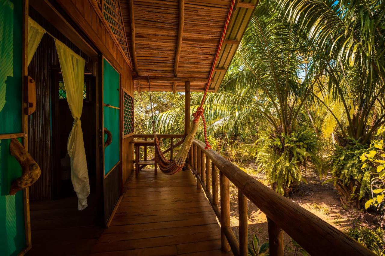 Ocean Forest Ecolodge San Pedrillo エクステリア 写真