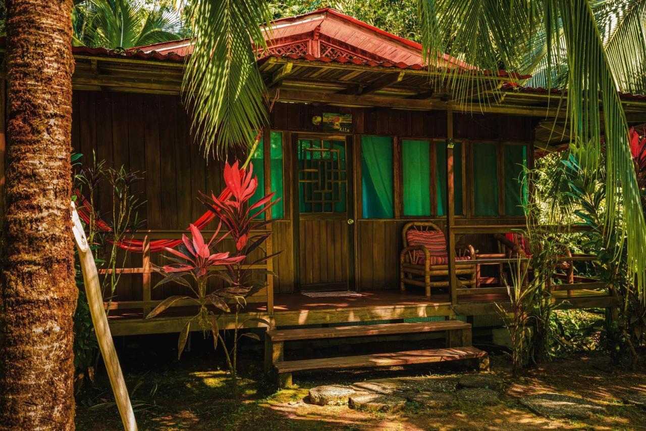 Ocean Forest Ecolodge San Pedrillo エクステリア 写真