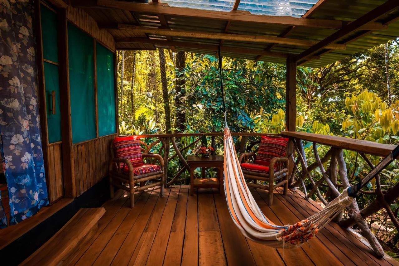 Ocean Forest Ecolodge San Pedrillo エクステリア 写真