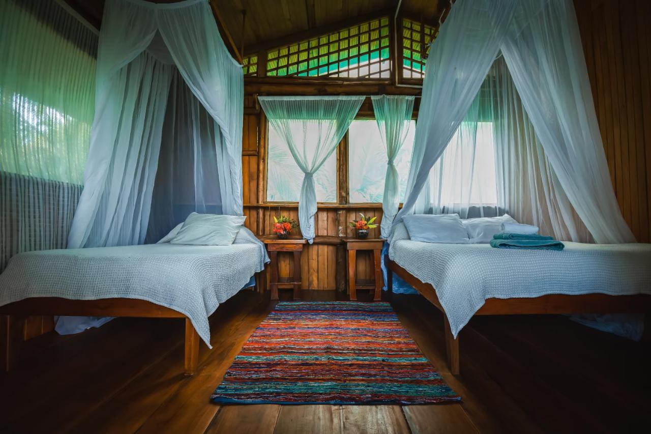 Ocean Forest Ecolodge San Pedrillo エクステリア 写真