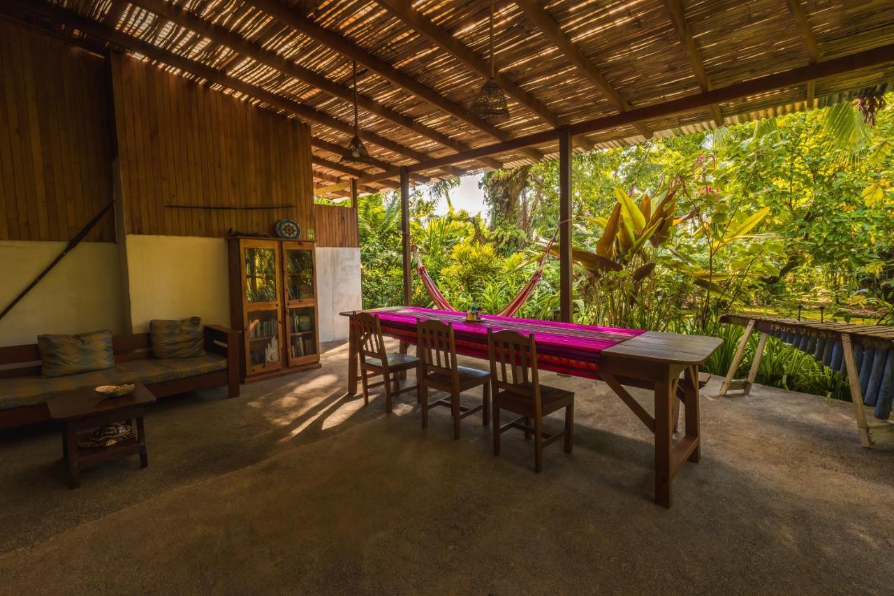 Ocean Forest Ecolodge San Pedrillo エクステリア 写真
