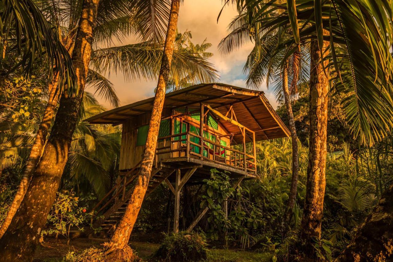 Ocean Forest Ecolodge San Pedrillo エクステリア 写真