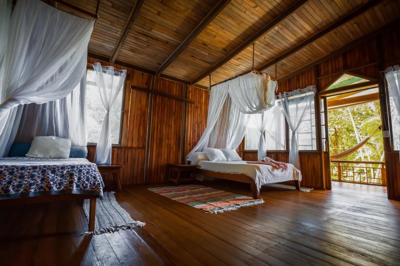Ocean Forest Ecolodge San Pedrillo エクステリア 写真