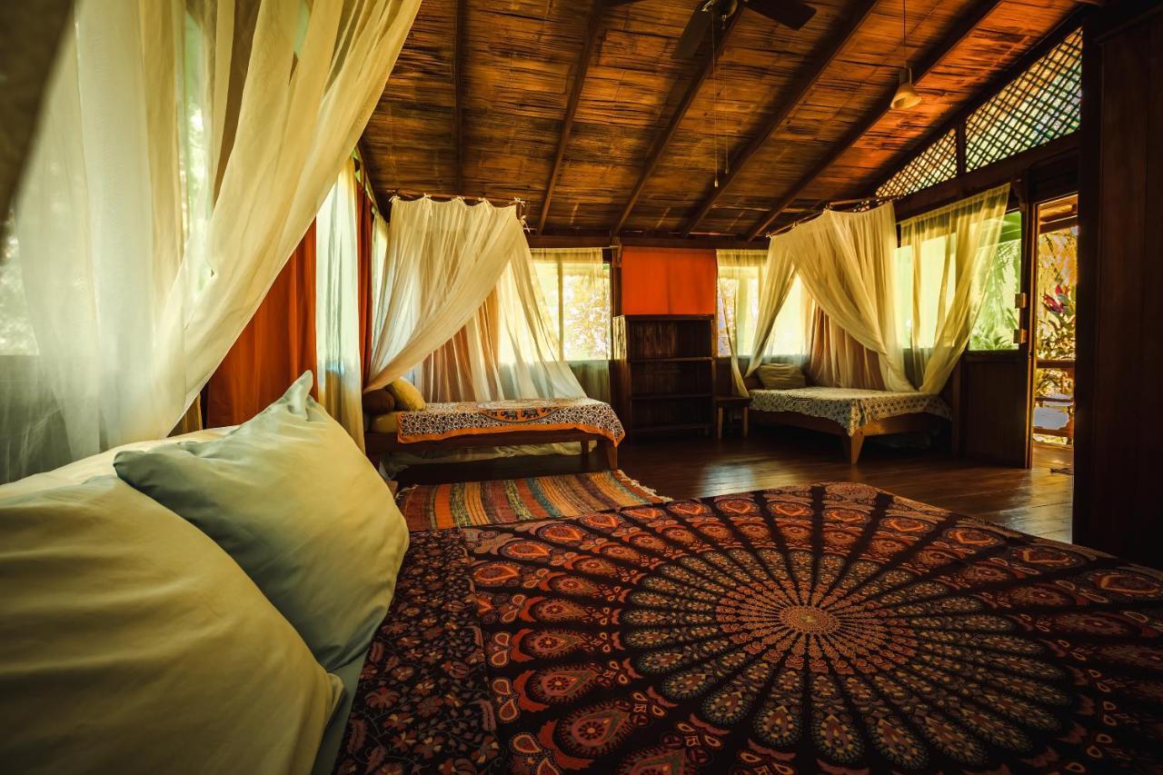 Ocean Forest Ecolodge San Pedrillo エクステリア 写真