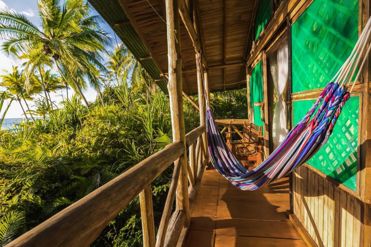 Ocean Forest Ecolodge San Pedrillo エクステリア 写真