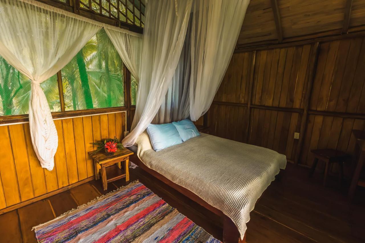 Ocean Forest Ecolodge San Pedrillo エクステリア 写真