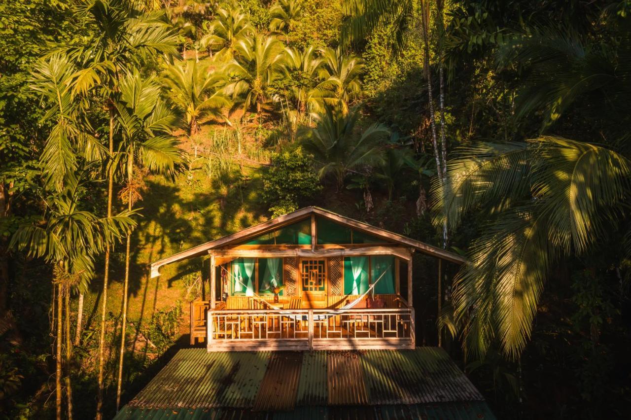 Ocean Forest Ecolodge San Pedrillo エクステリア 写真
