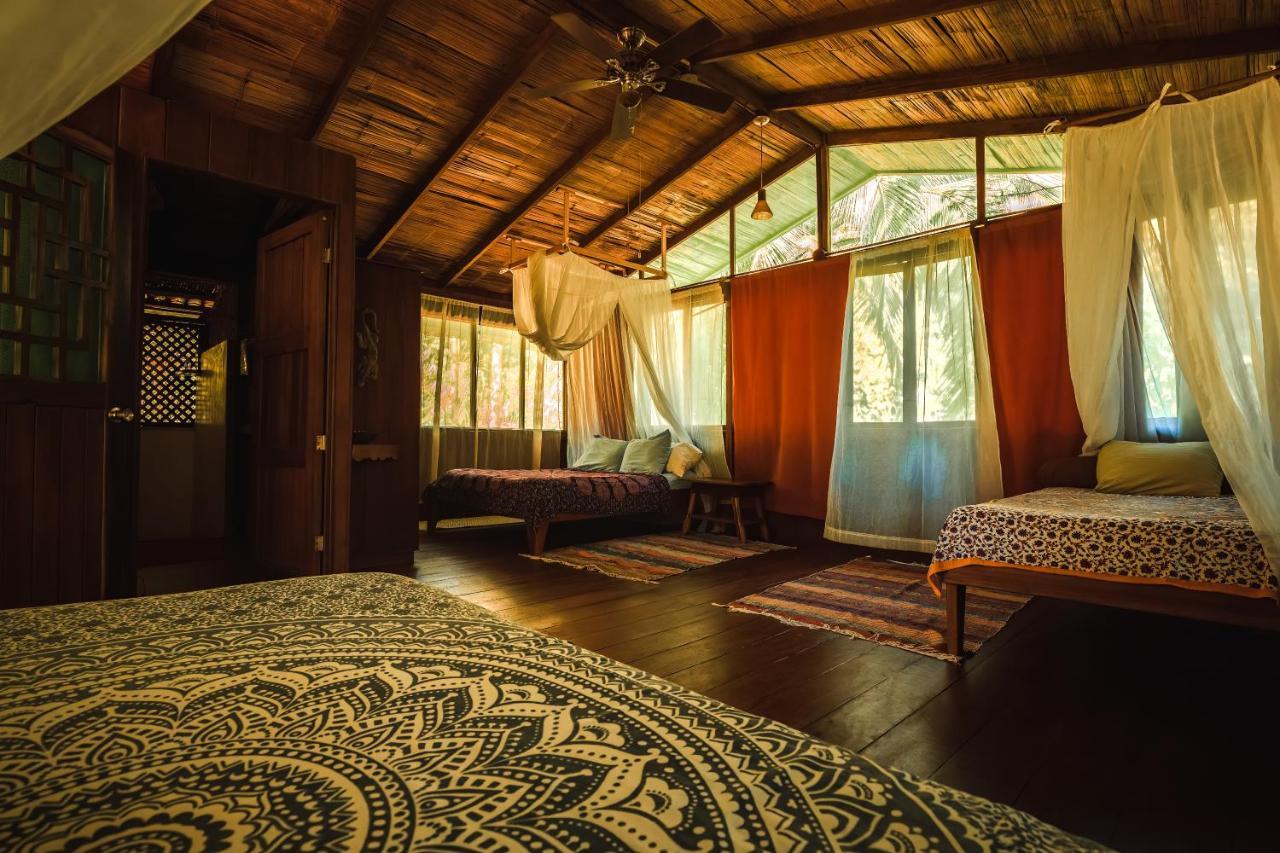 Ocean Forest Ecolodge San Pedrillo エクステリア 写真