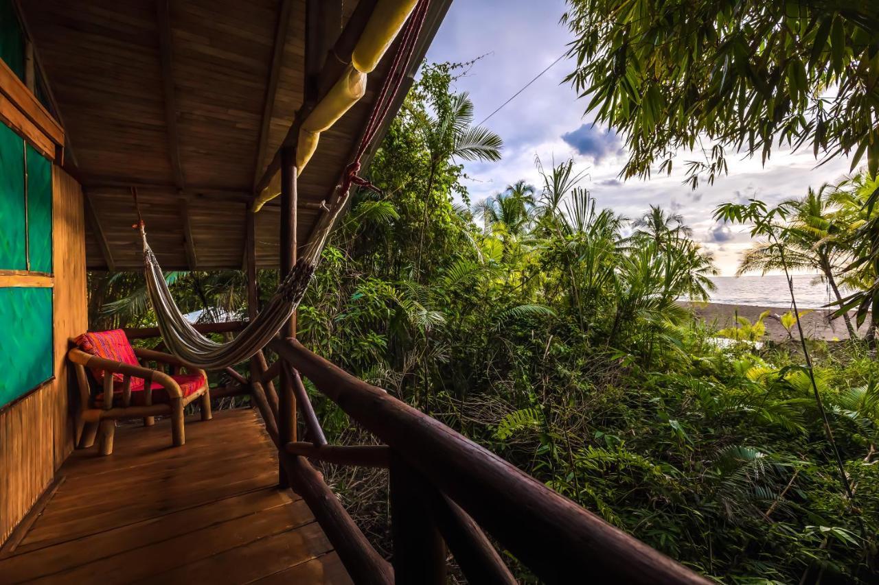 Ocean Forest Ecolodge San Pedrillo エクステリア 写真