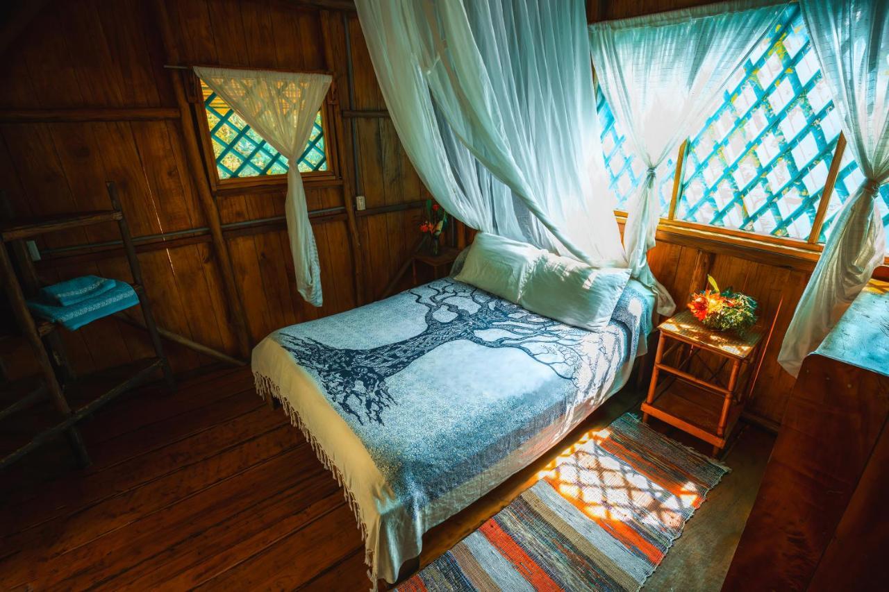 Ocean Forest Ecolodge San Pedrillo エクステリア 写真