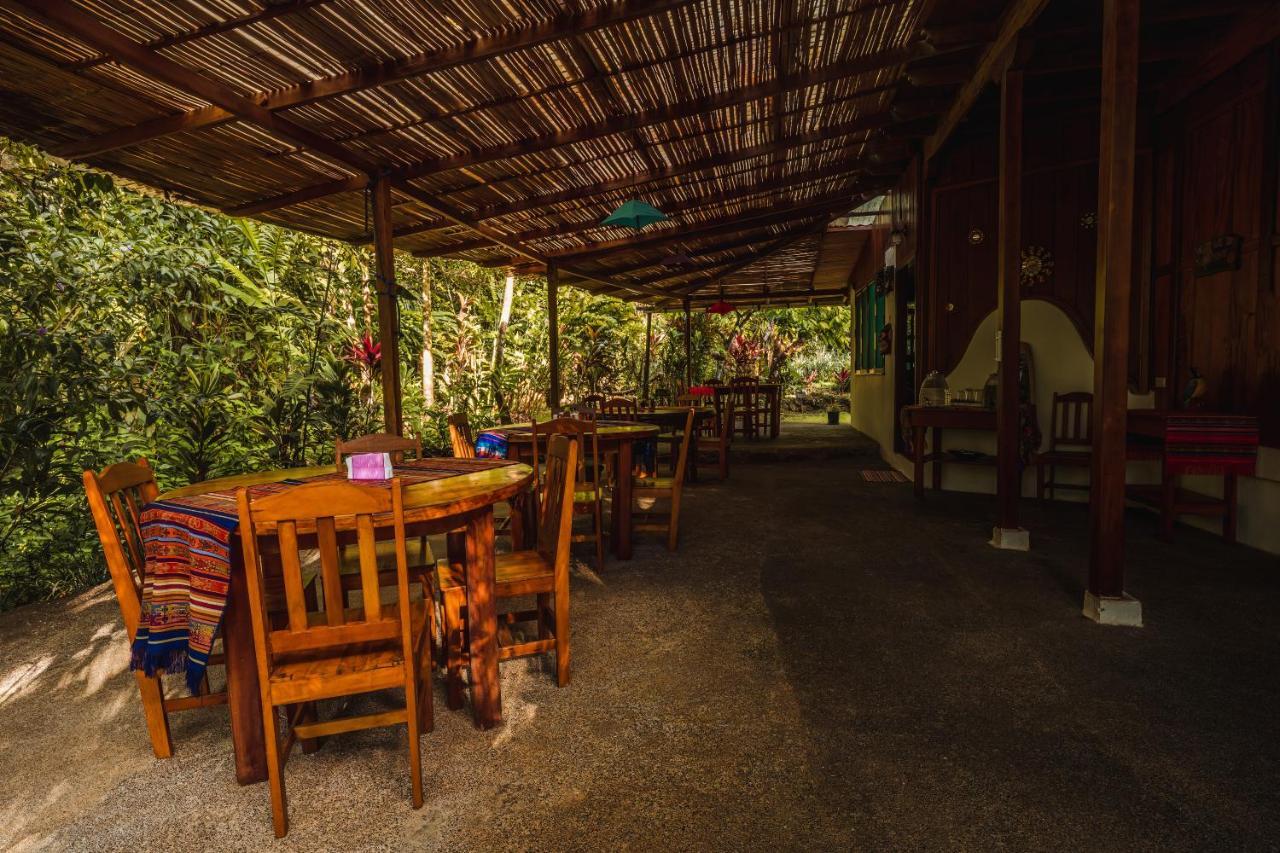 Ocean Forest Ecolodge San Pedrillo エクステリア 写真
