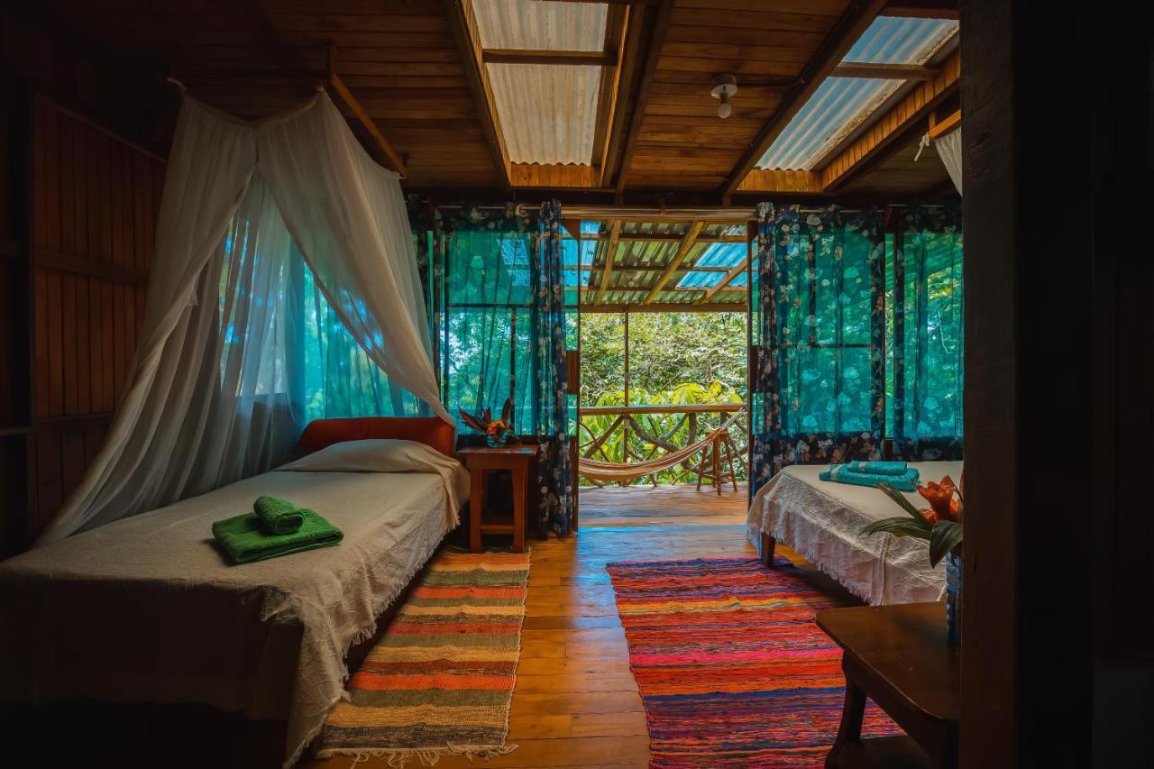 Ocean Forest Ecolodge San Pedrillo エクステリア 写真