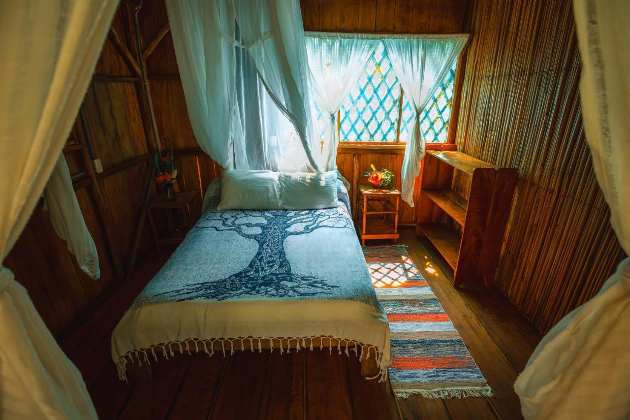 Ocean Forest Ecolodge San Pedrillo エクステリア 写真