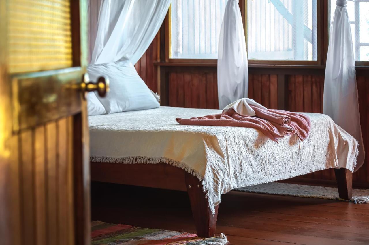 Ocean Forest Ecolodge San Pedrillo エクステリア 写真