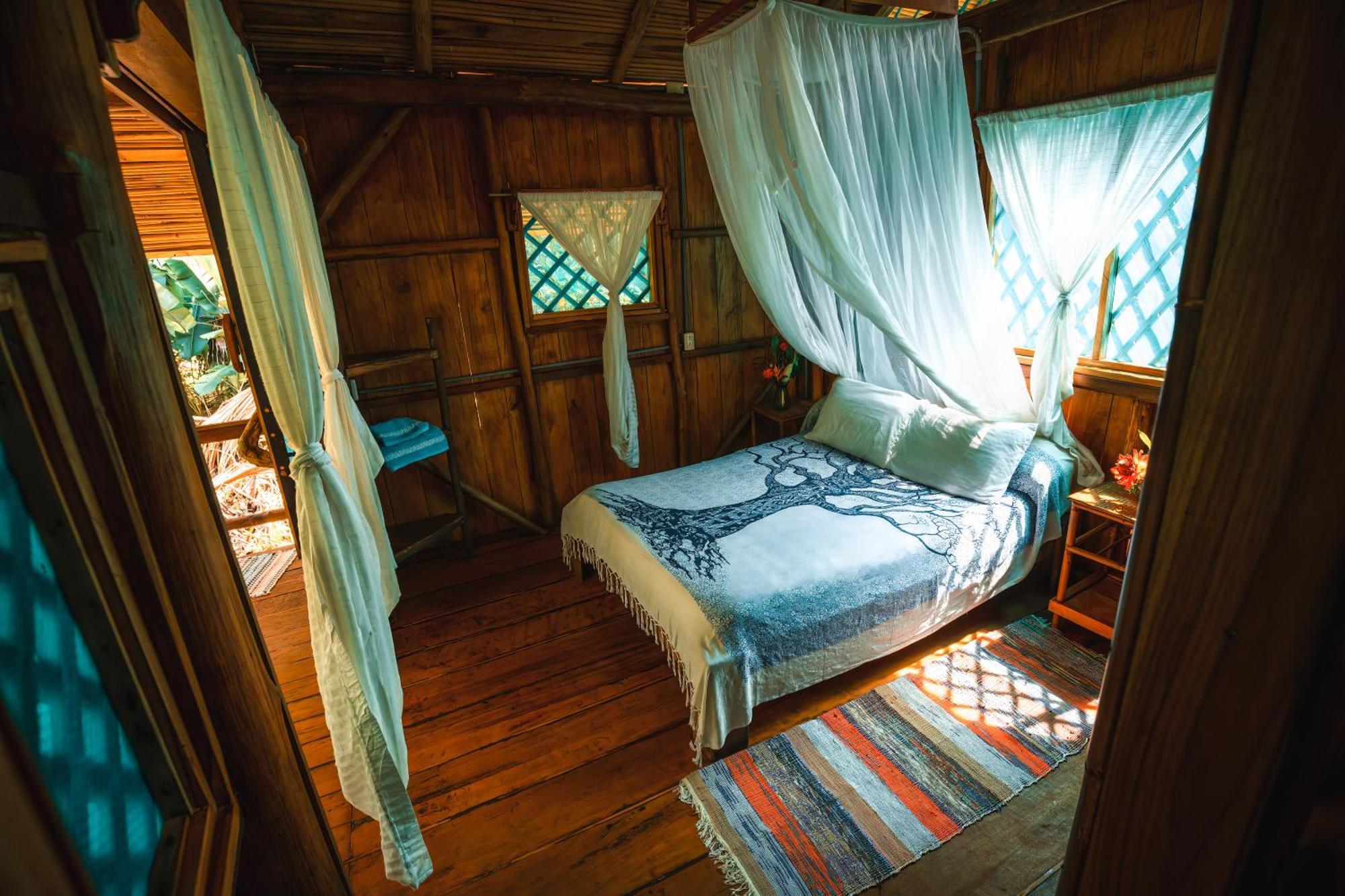 Ocean Forest Ecolodge San Pedrillo エクステリア 写真