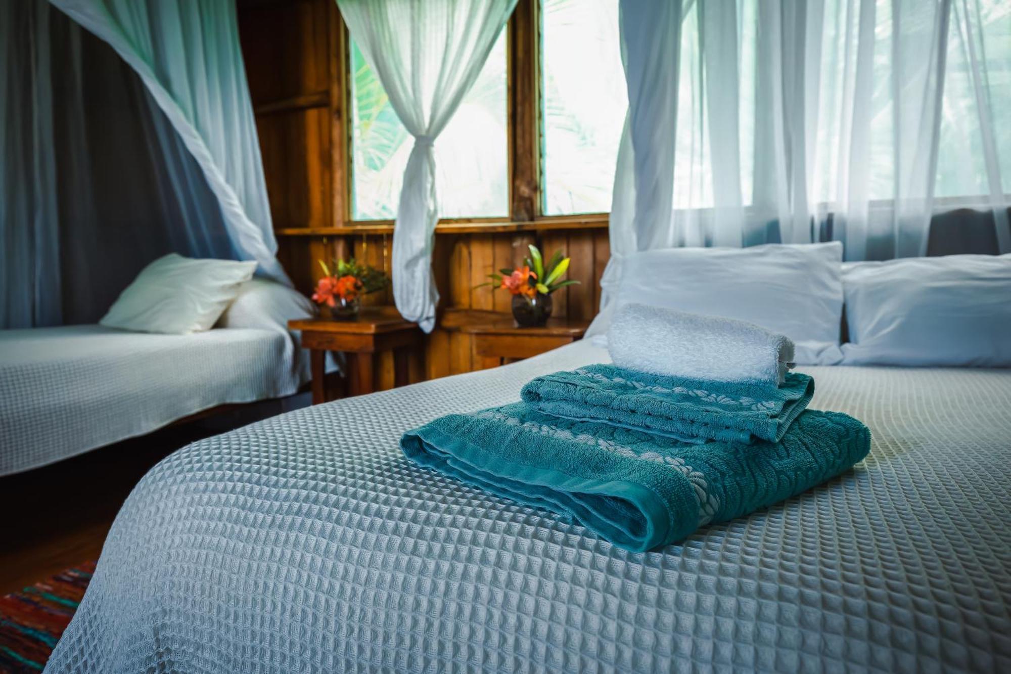 Ocean Forest Ecolodge San Pedrillo エクステリア 写真