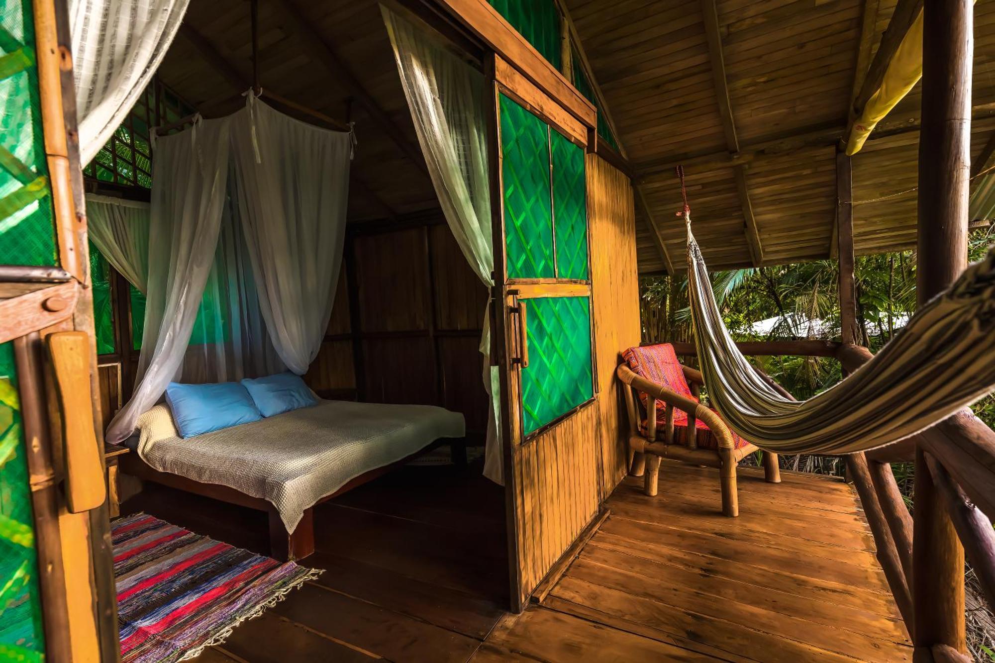 Ocean Forest Ecolodge San Pedrillo エクステリア 写真