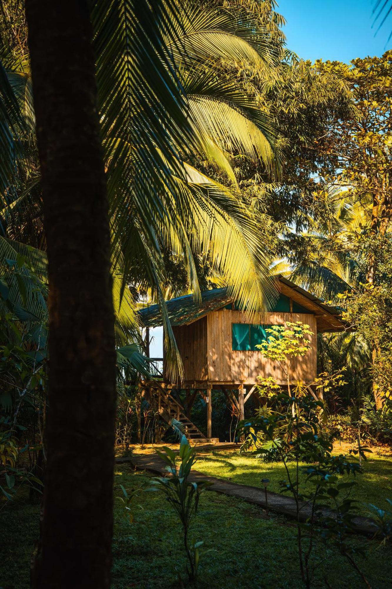 Ocean Forest Ecolodge San Pedrillo エクステリア 写真