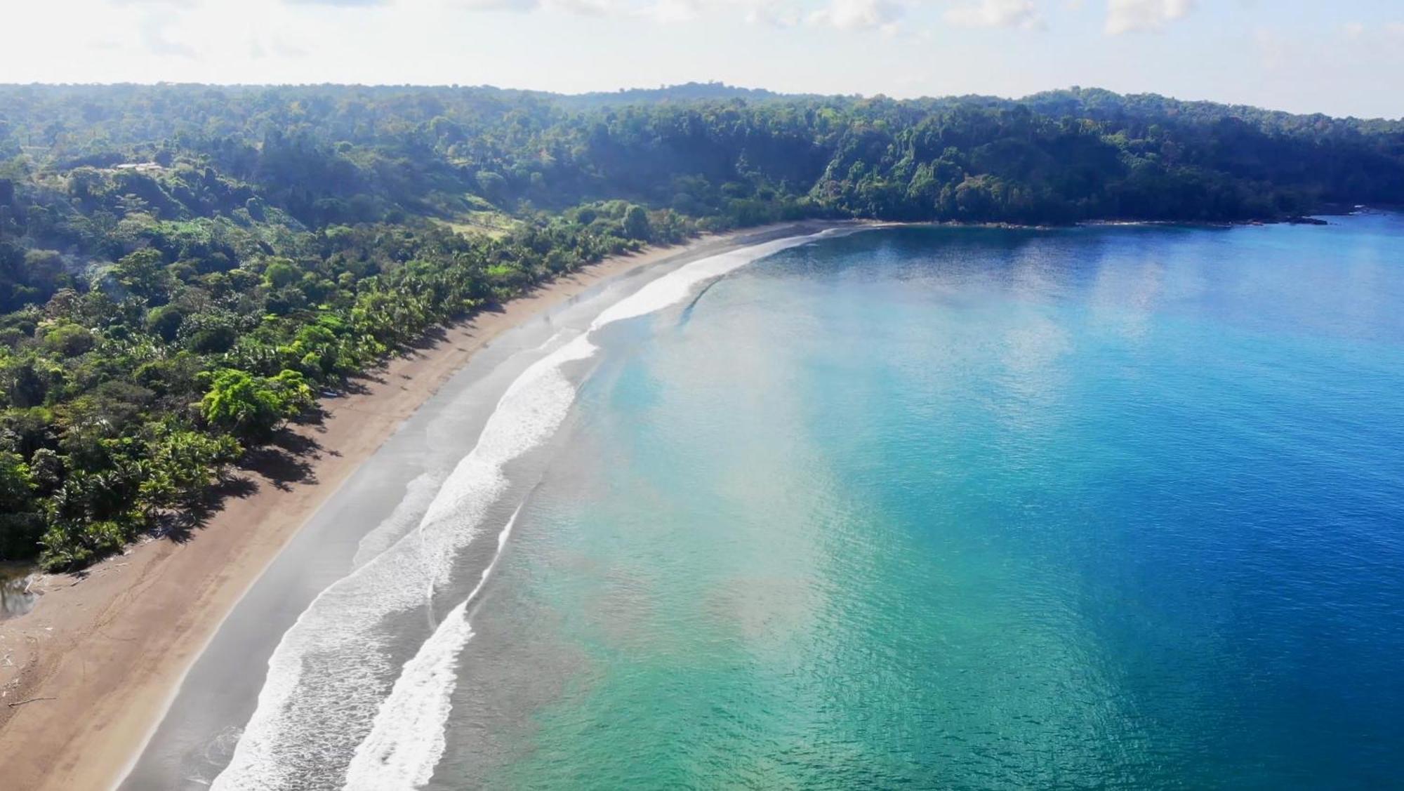 Ocean Forest Ecolodge San Pedrillo エクステリア 写真