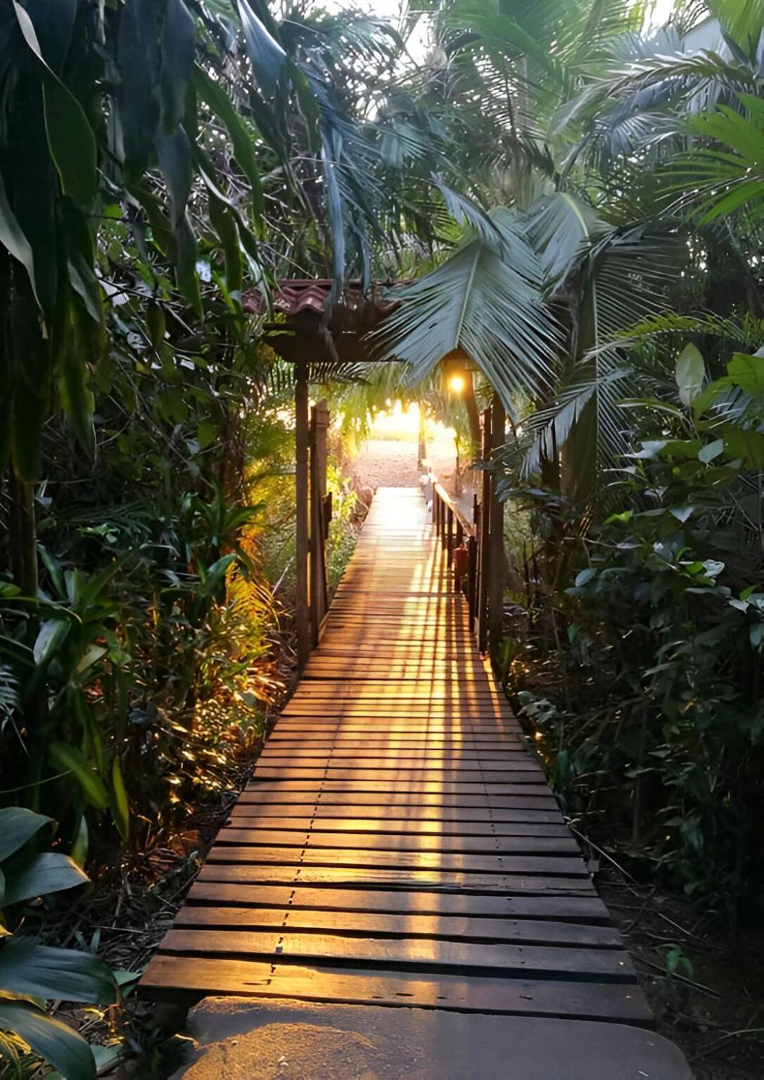 Ocean Forest Ecolodge San Pedrillo エクステリア 写真