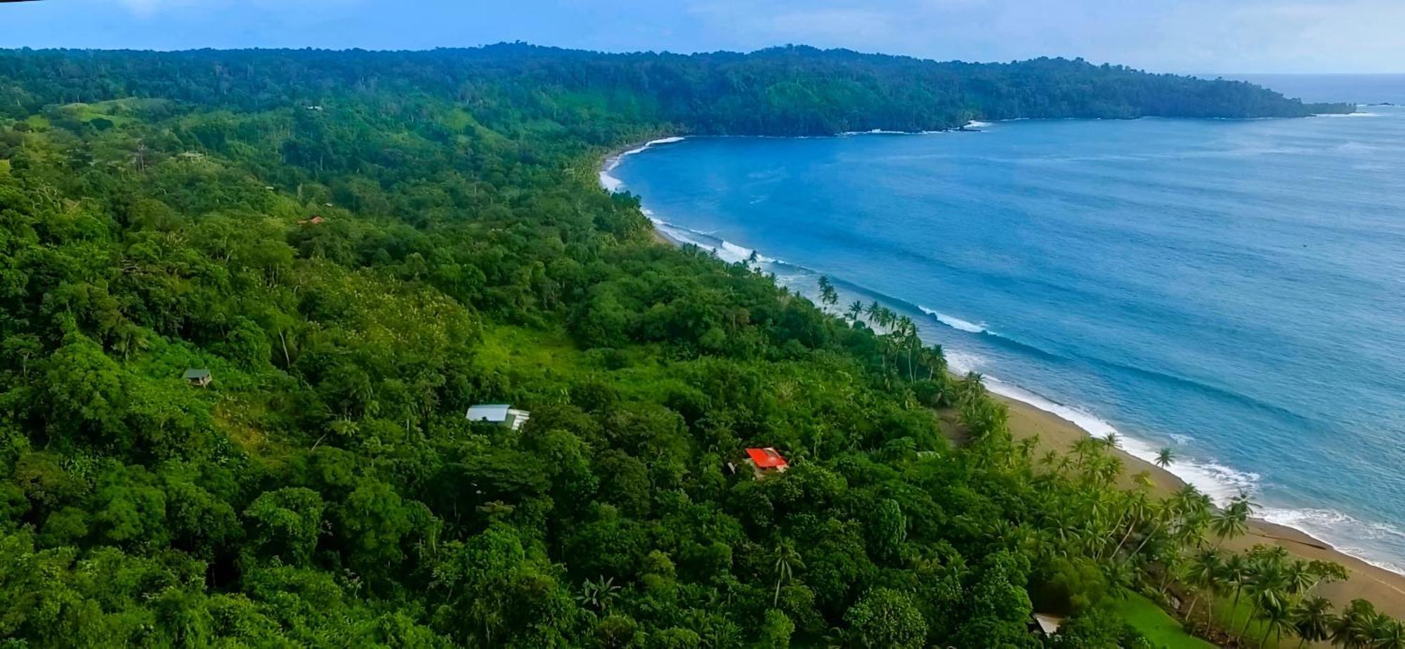 Ocean Forest Ecolodge San Pedrillo エクステリア 写真