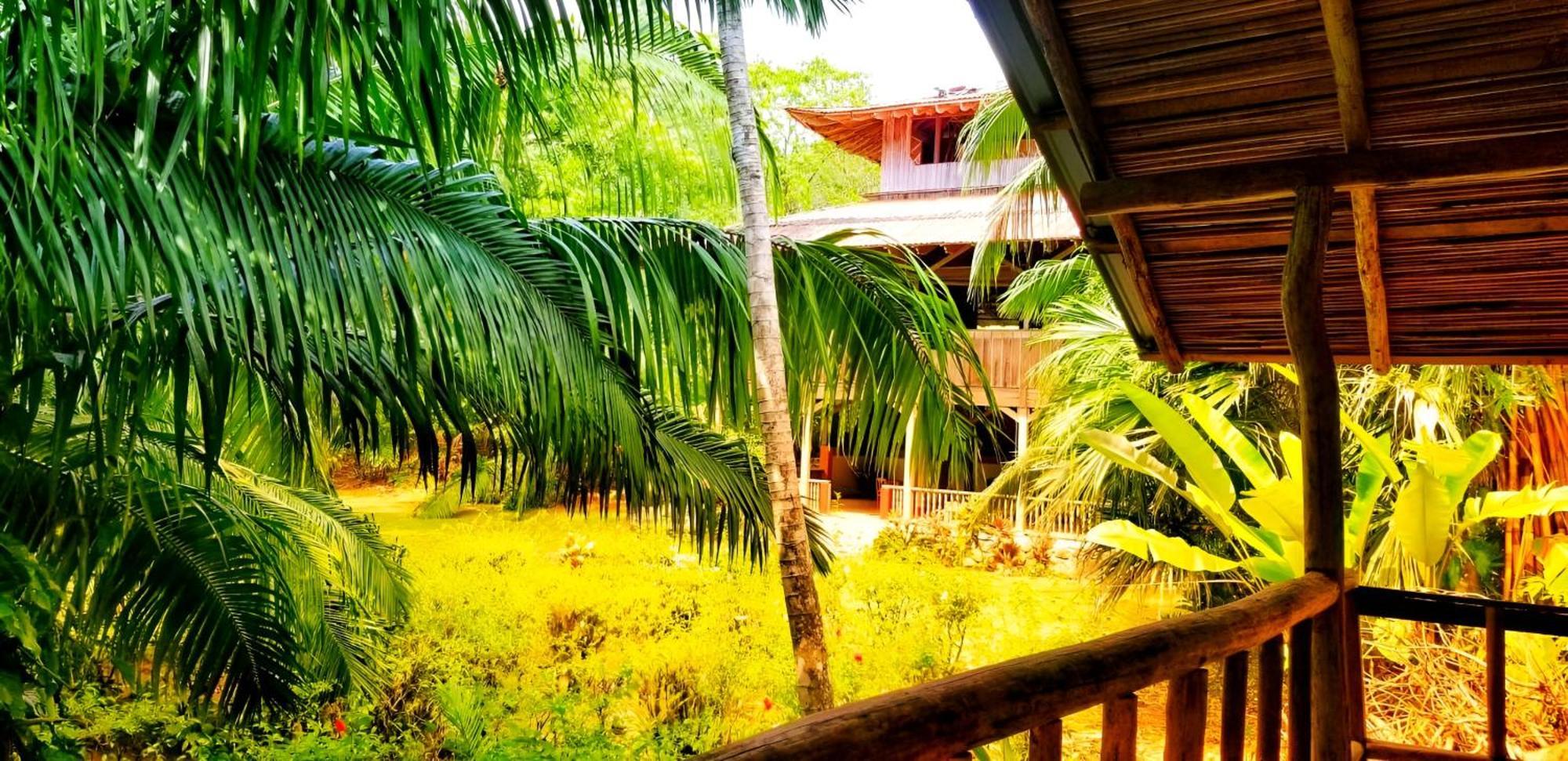 Ocean Forest Ecolodge San Pedrillo エクステリア 写真