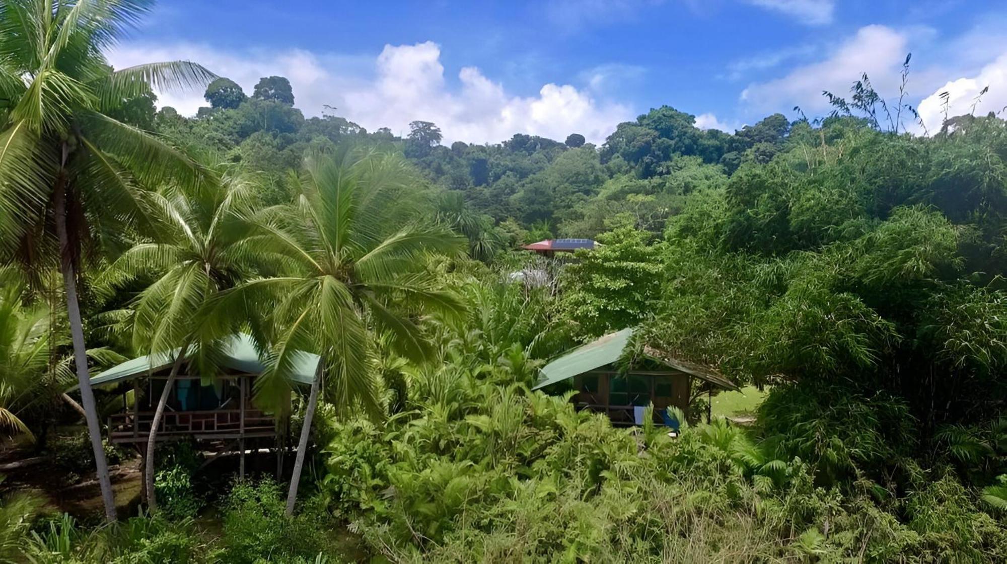 Ocean Forest Ecolodge San Pedrillo エクステリア 写真