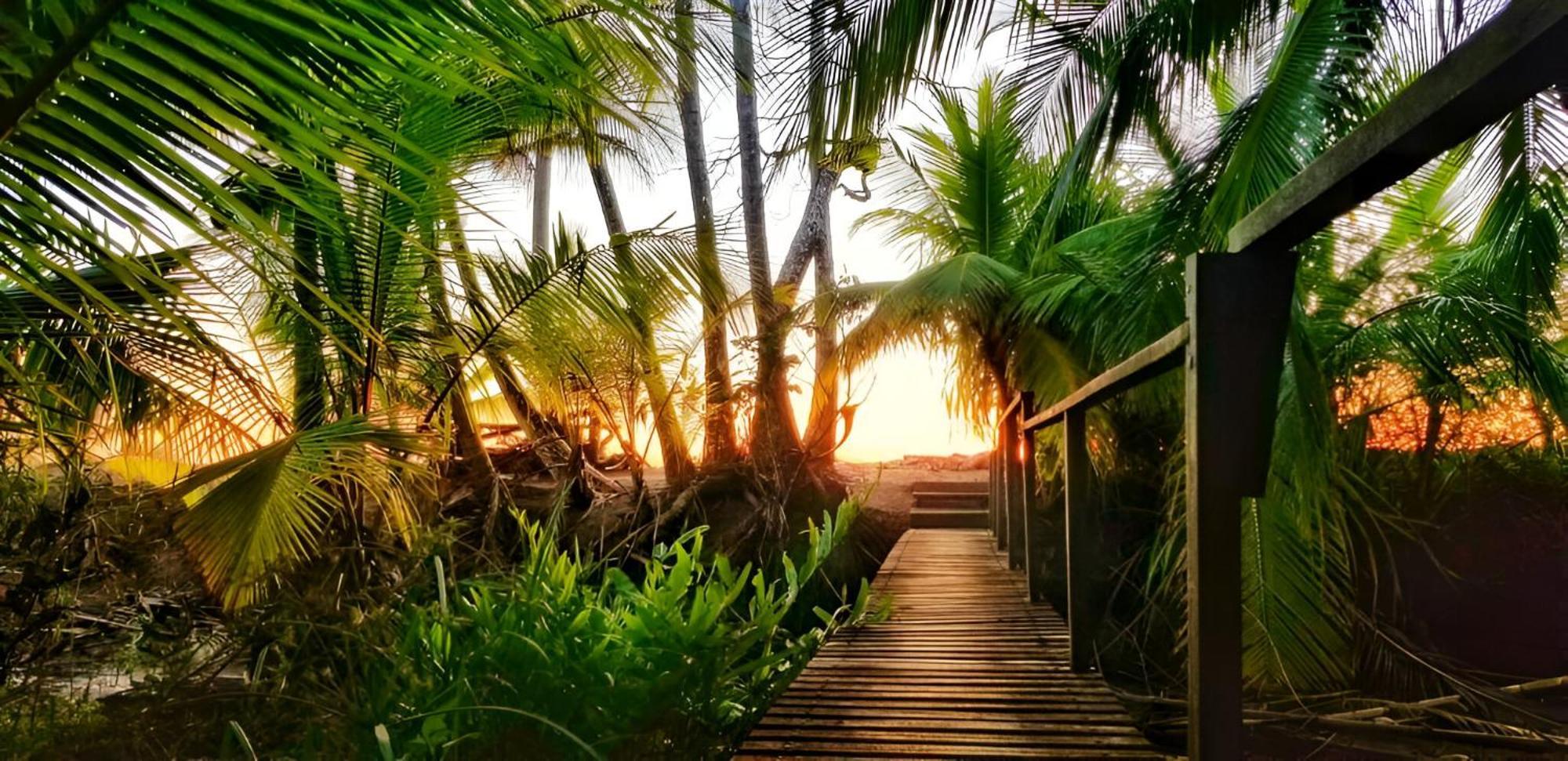 Ocean Forest Ecolodge San Pedrillo エクステリア 写真