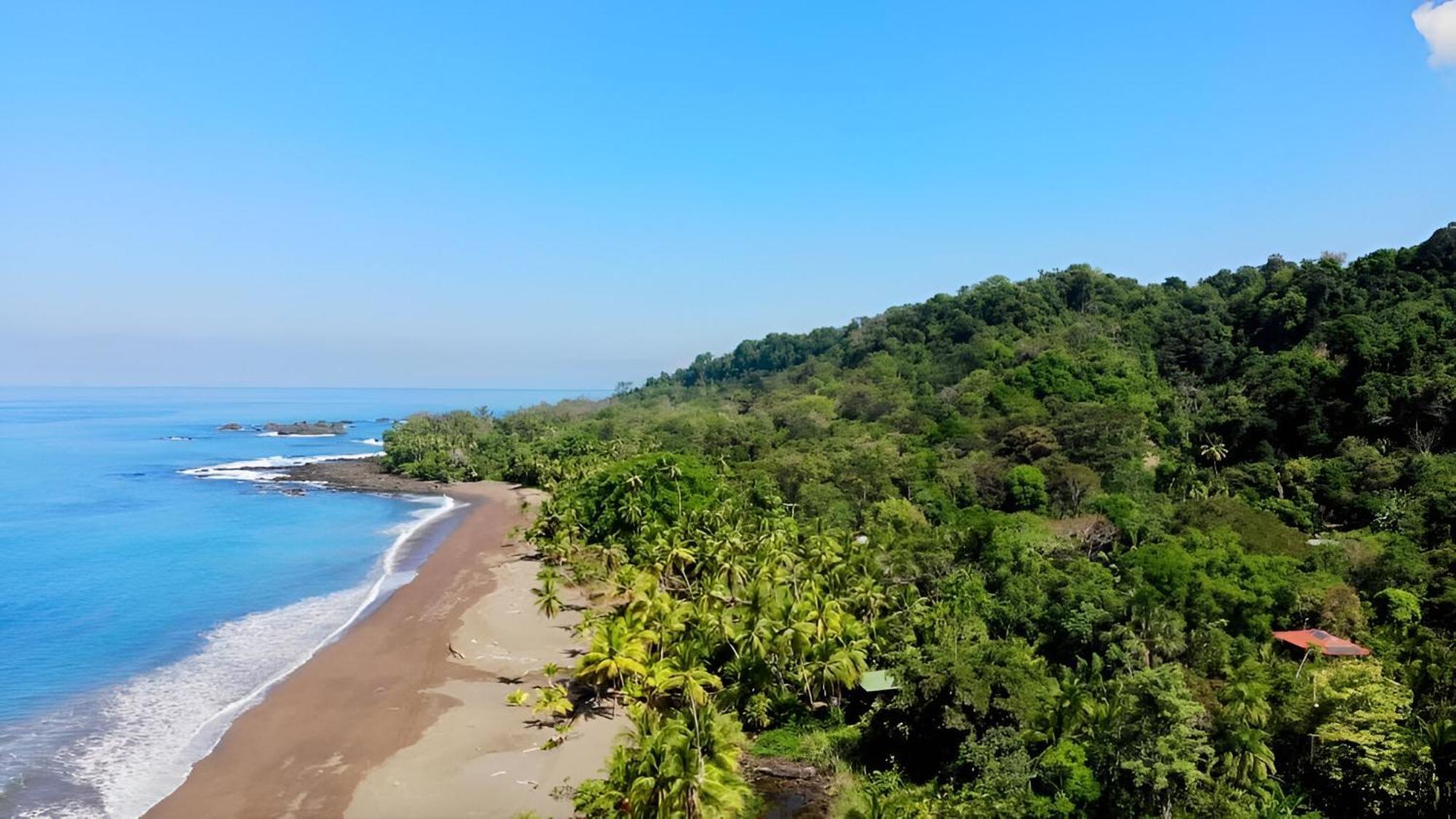 Ocean Forest Ecolodge San Pedrillo エクステリア 写真