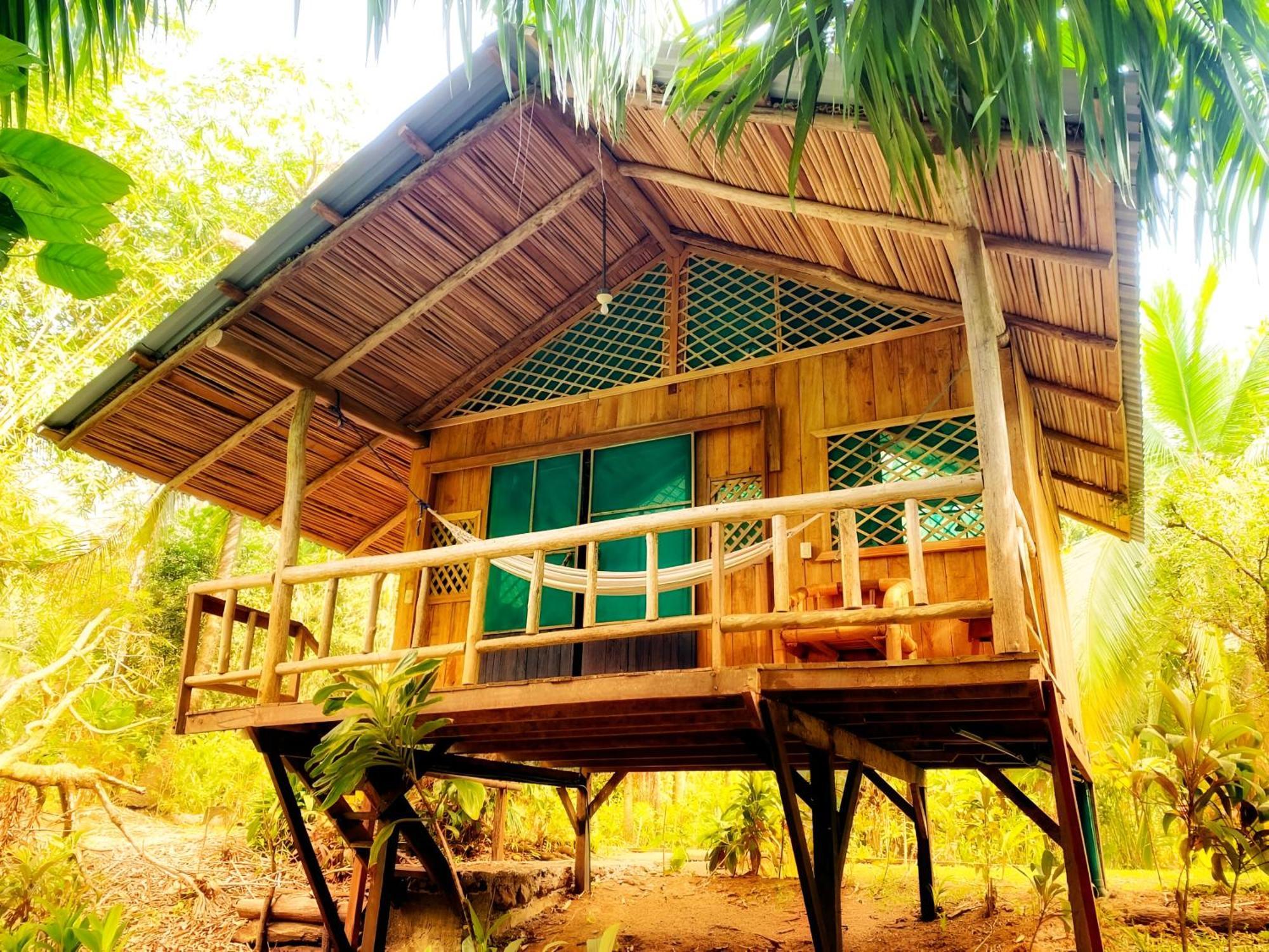Ocean Forest Ecolodge San Pedrillo エクステリア 写真